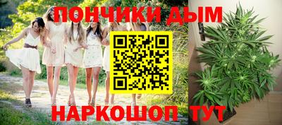 индика Братск