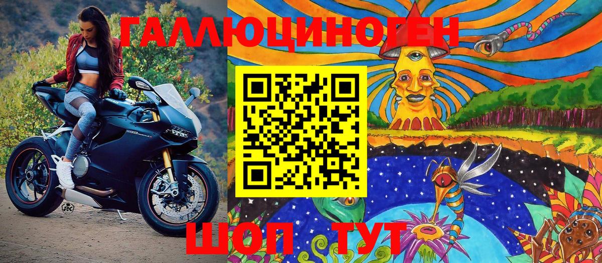Псилоцибиновые грибы Psilocybine cubensis Ивантеевка