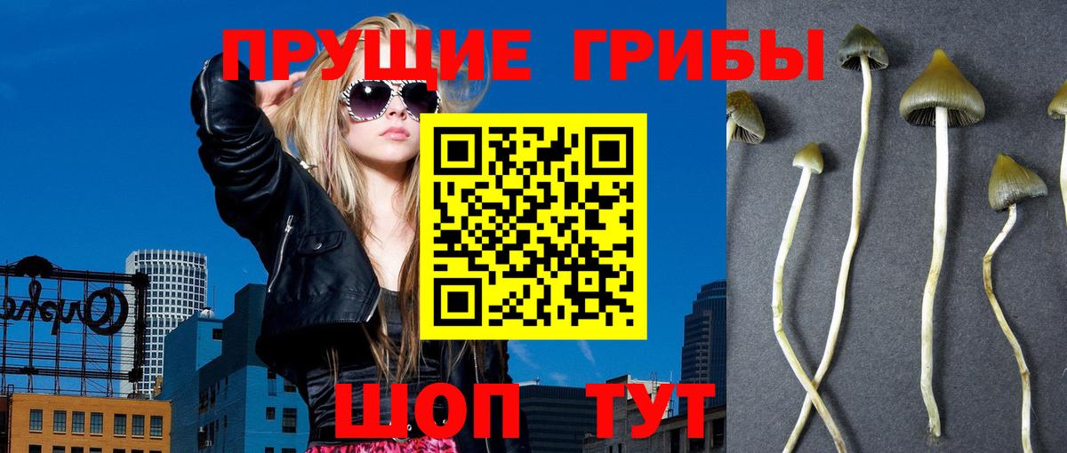 Псилоцибиновые грибы ЛСД  Галлюциногенные грибы мухоморы  Ивантеевка  Вход с VPN 